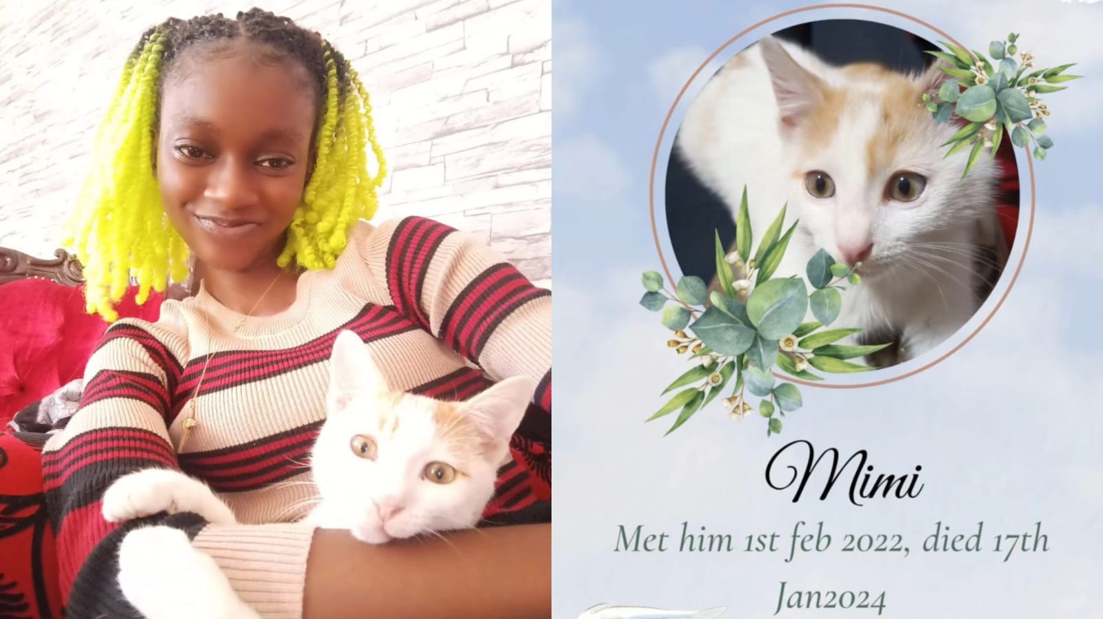 Natalie Githinji Mourns the Death of Her cat