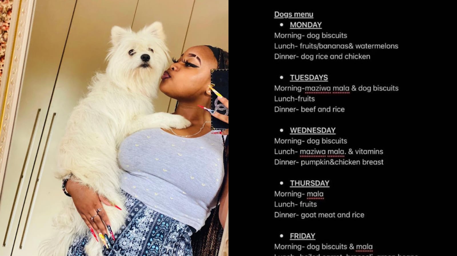 Sandra Mbuvi shares her dogs' Weekly menu