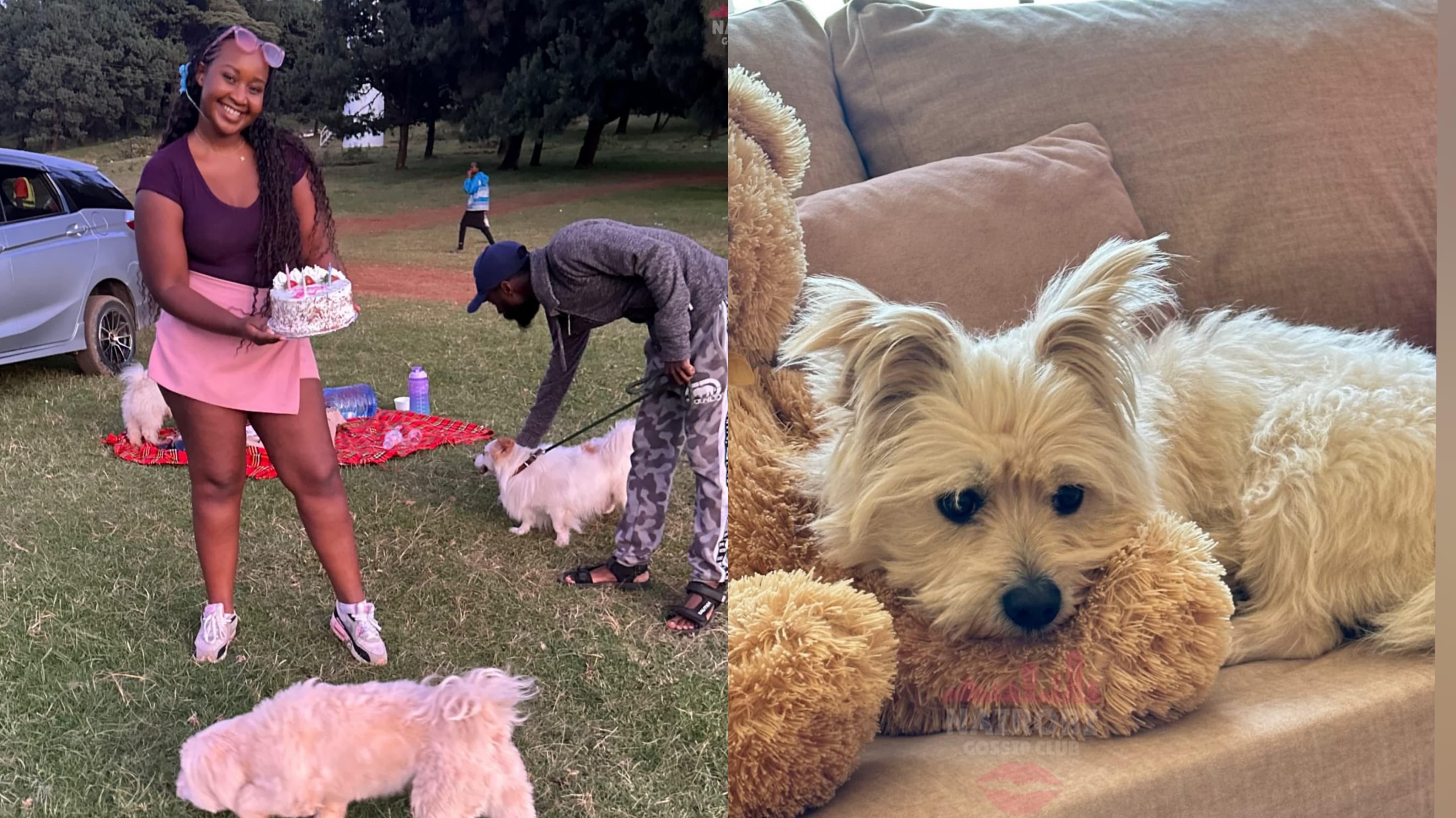 Gloria Kyallo throws a lavish birthday party for her dog